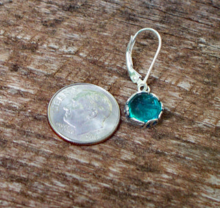 Botanical Sterling Silver Lever Back Earrings-Sterling Silver-Bottled Up Designs